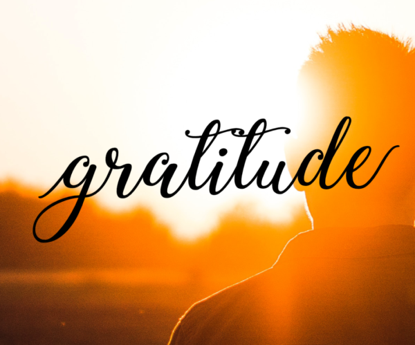 Gratitude: More than a Feeling Image