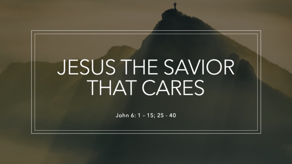 Jesus, the savior that cares Image